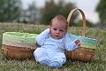 Yet Another Egg Hunt